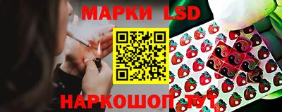 Альфа ПВП Малгобек