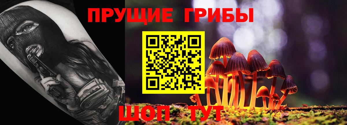 хочу наркоту  Псилоцибиновые грибы Psilocybine cubensis  Гуково  Вход с VPN  Галлюциногенные грибы Psilocybe 